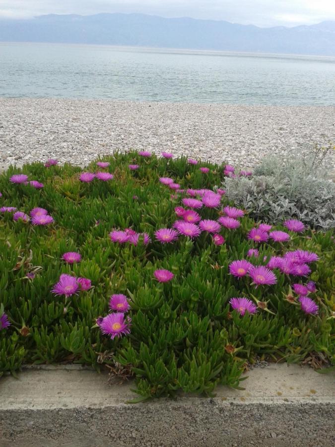 Apartman Bolob Baska  Exterior photo